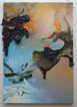  habitable 75x55 2026